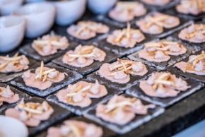 Taste of hops on tour 2026