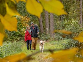 Herfstwandelingen in de Westhoek